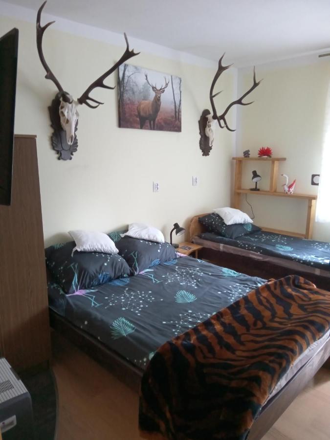 Jugów Seba 빌라 외부 사진